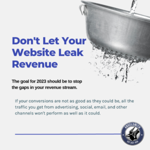 Most website leak revenue, but web optimization programs can stop companies from losing money.